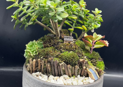 MIDORI MINICHUA